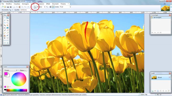 Paint.NET