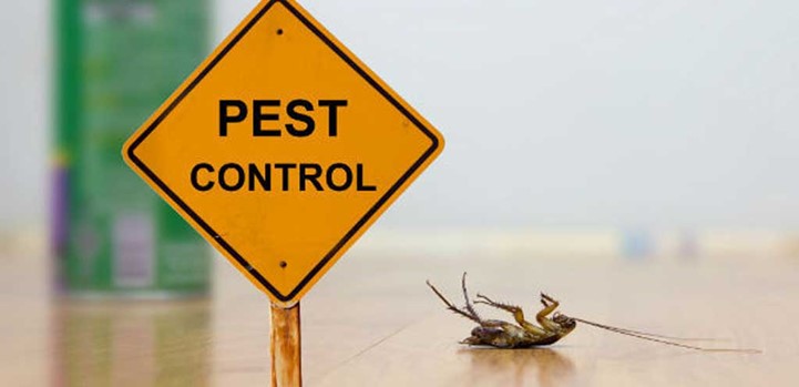 JASA-pest-control-jakarta