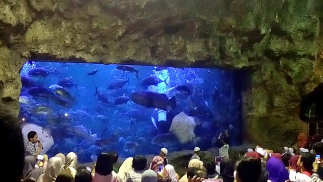 Seaworld Ancol